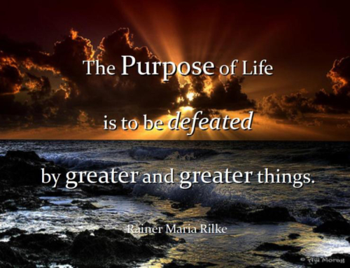 The Purpose of Life…